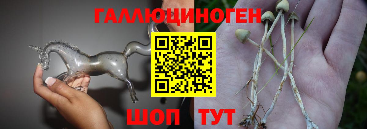 ЭКСТАЗИ  Курчатов  МАРИХУАНА  Кокаин  Меф   ГАШИШ  Вход с VPN 